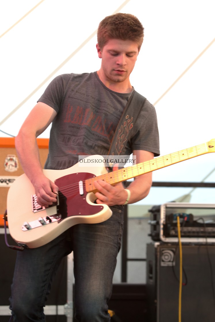 "Willow Festival (2013)" stock image