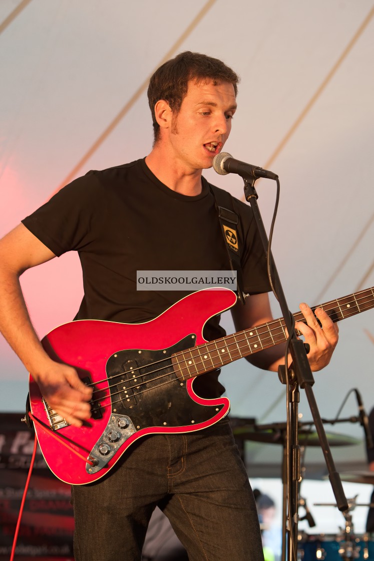 "Willow Festival (2013)" stock image