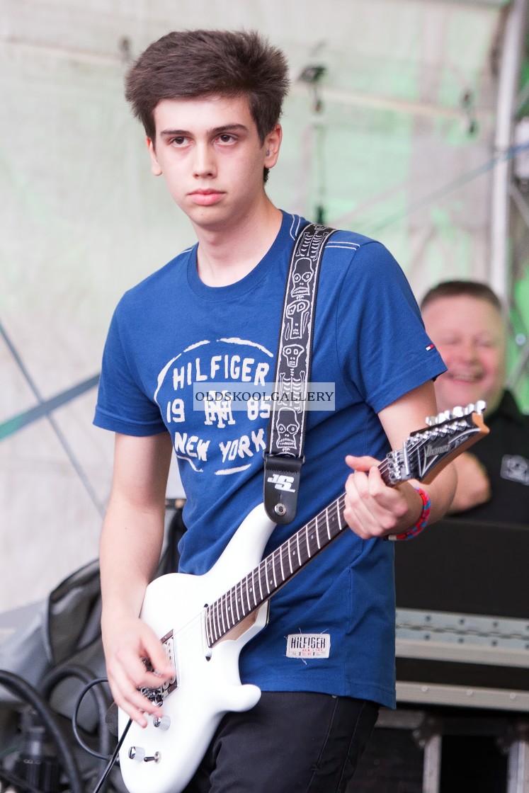 "Willow Festival (2013)" stock image