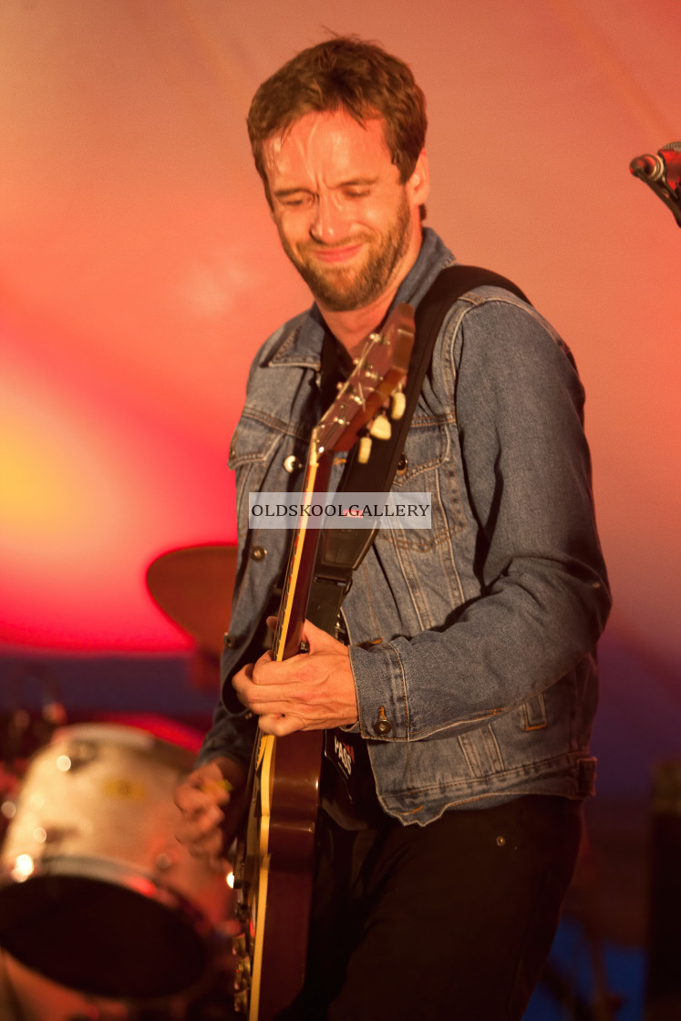 "Willow Festival (2013)" stock image