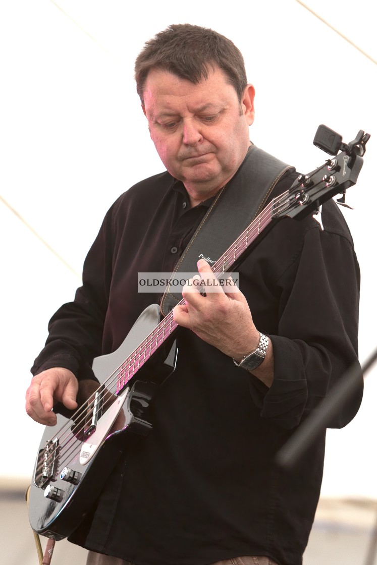 "Willow Festival (2013)" stock image