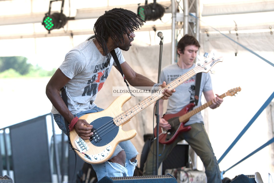 "Willow Festival (2013)" stock image