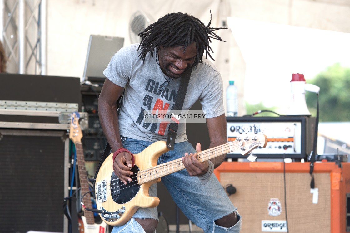 "Willow Festival (2013)" stock image