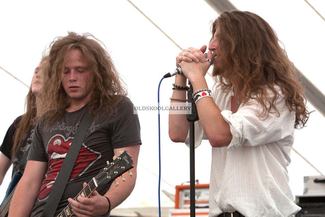 "Willow Festival (2013)" stock image