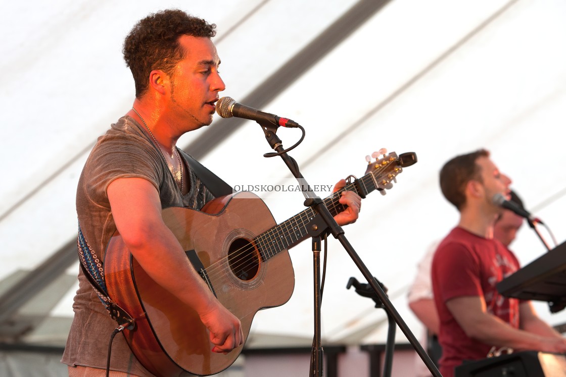 "Willow Festival (2013)" stock image