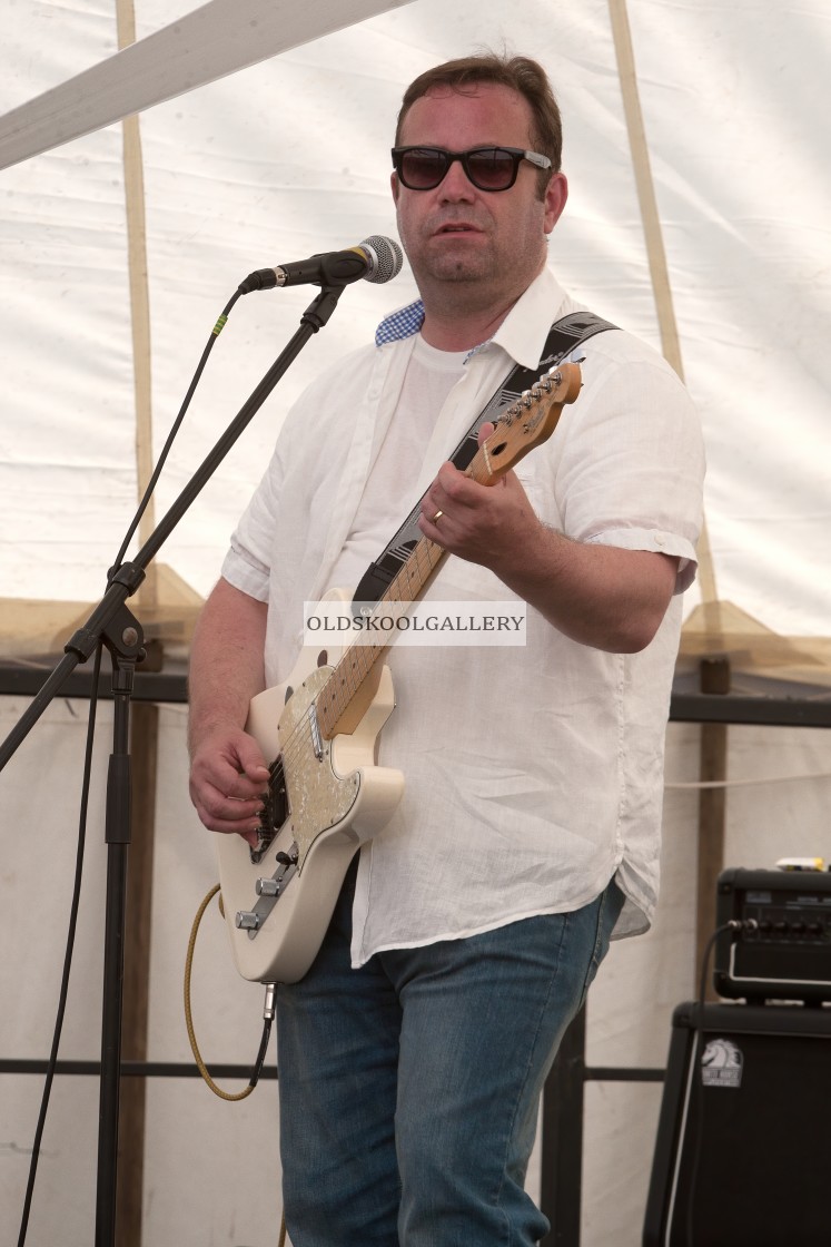 "Willow Festival (2013)" stock image