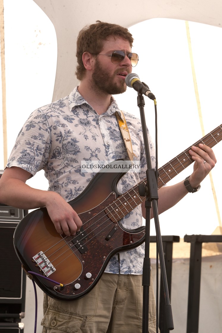 "Willow Festival (2013)" stock image