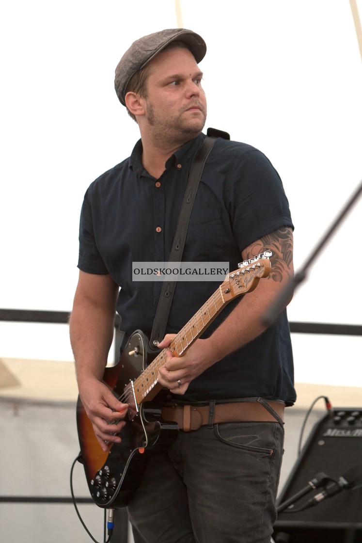 "Willow Festival (2013)" stock image