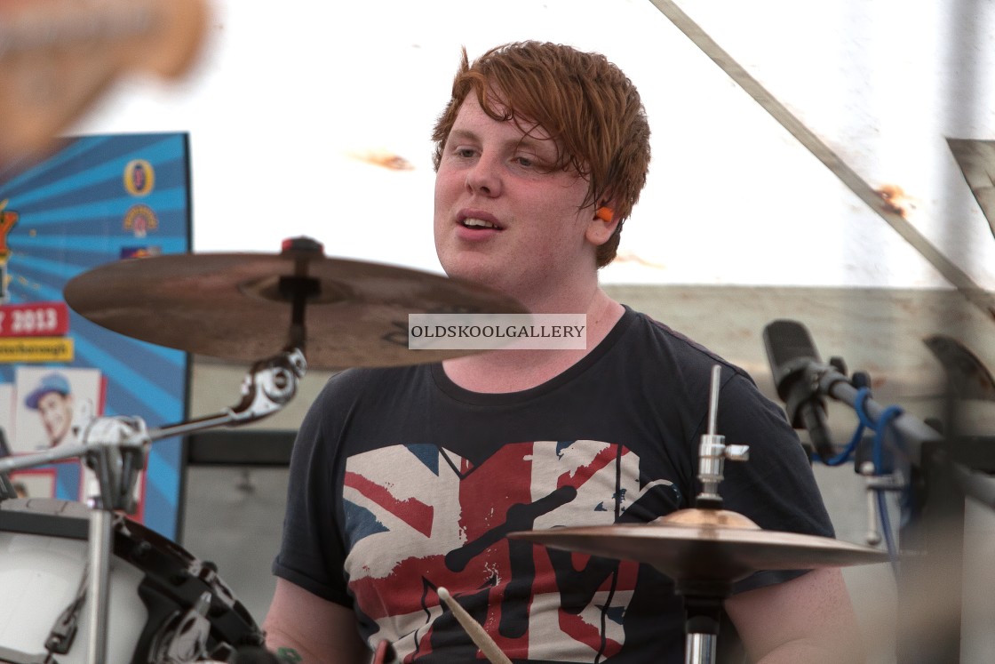 "Willow Festival (2013)" stock image