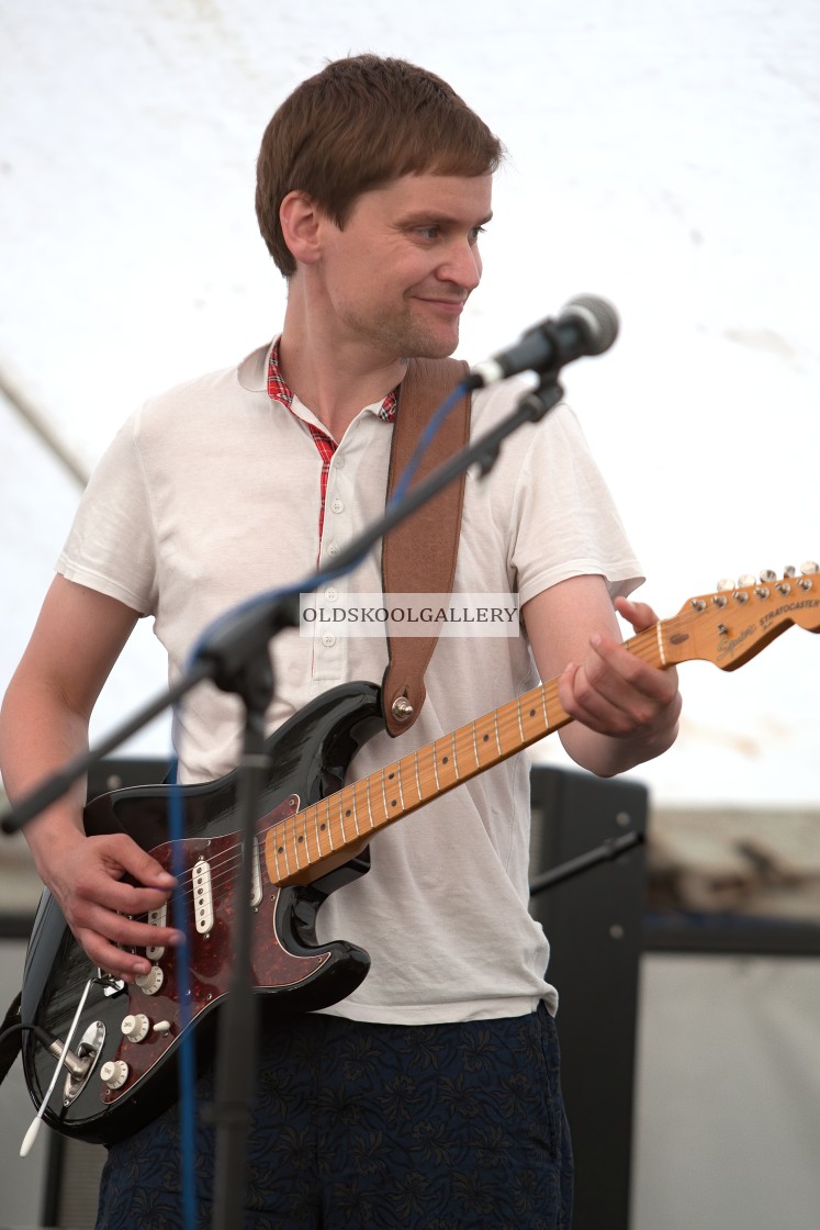 "Willow Festival (2013)" stock image