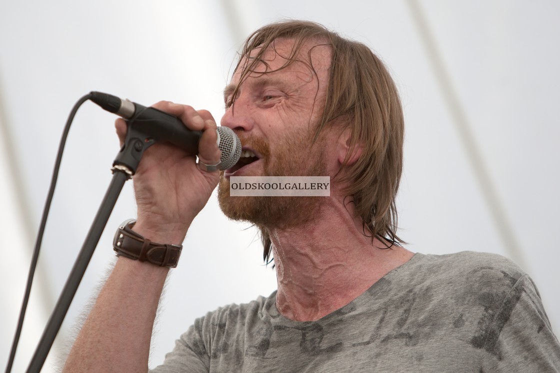 "Willow Festival (2013)" stock image