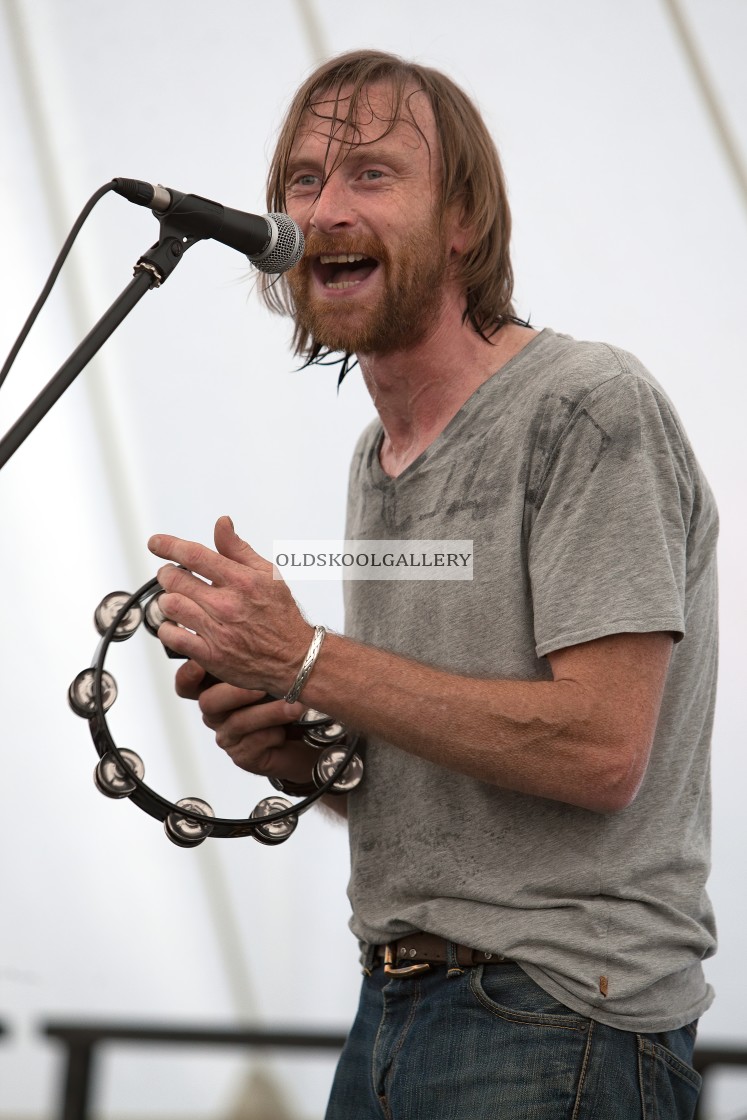 "Willow Festival (2013)" stock image