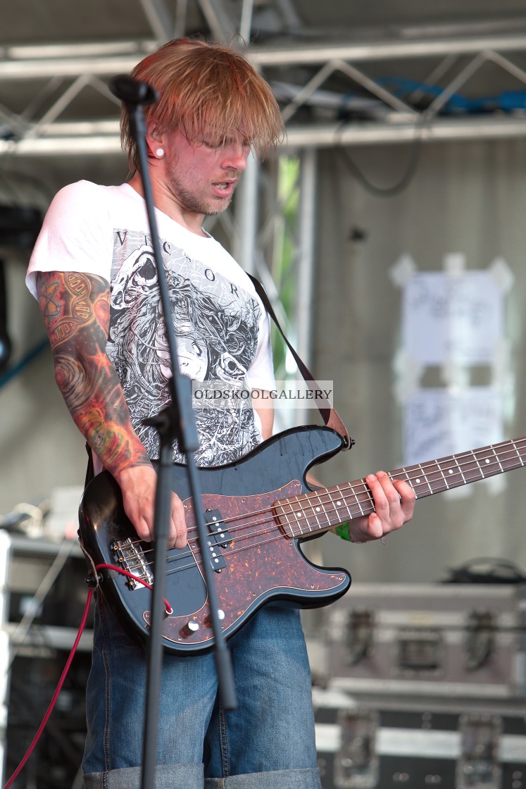 "Willow Festival (2013)" stock image