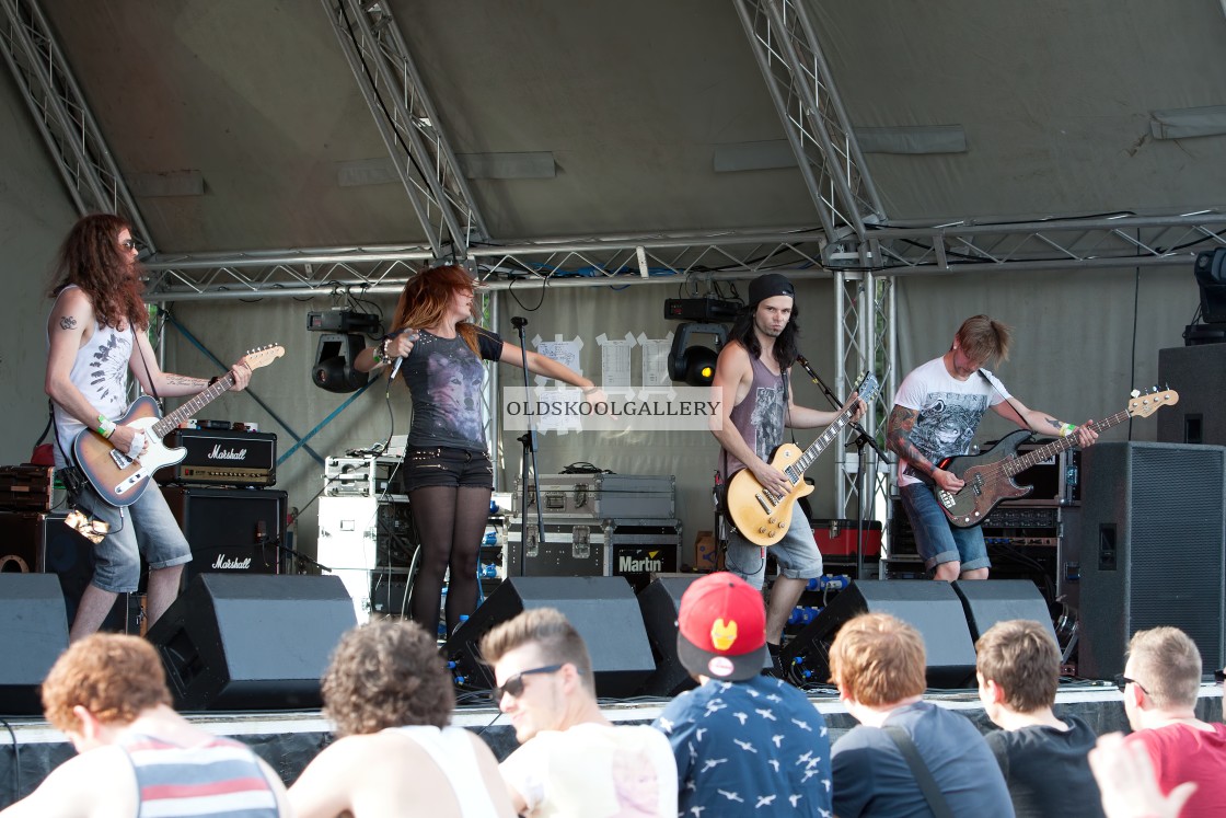 "Willow Festival (2013)" stock image