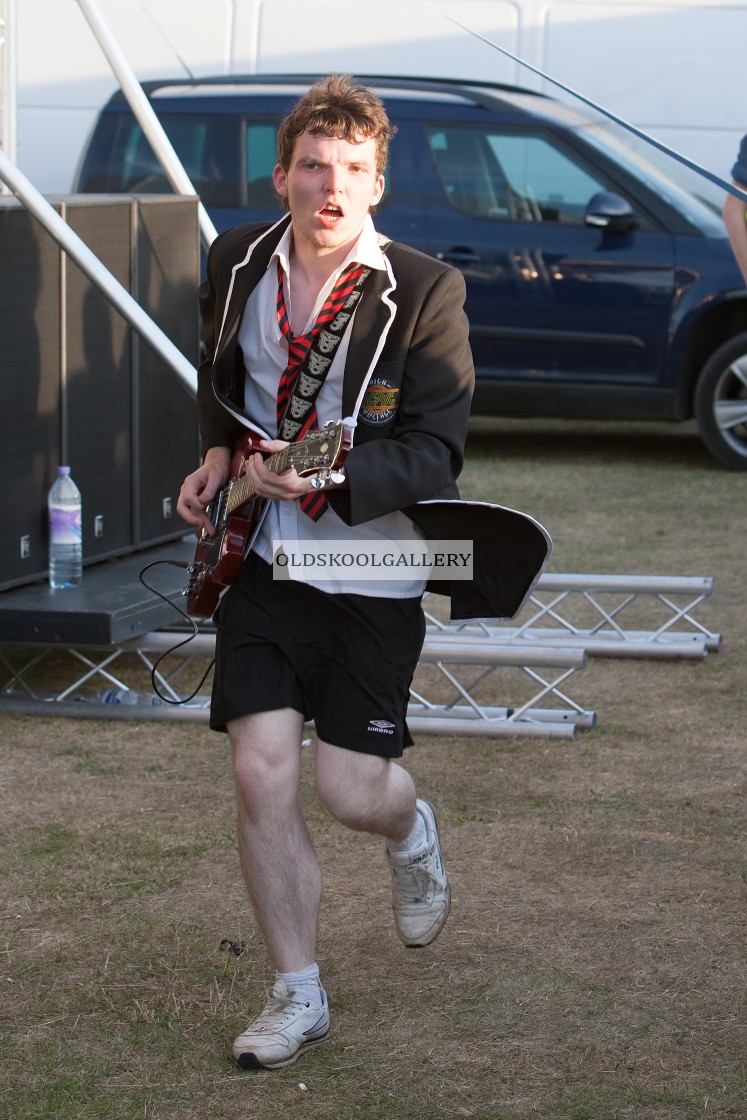 "Willow Festival (2013)" stock image