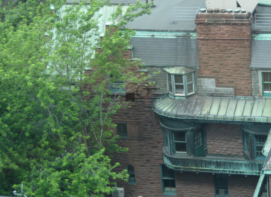 "Montreal Rooftops" stock image