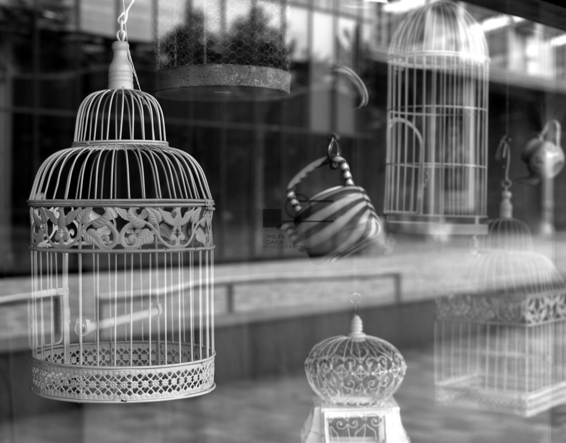 "Reflections, birdcages, Paris" stock image