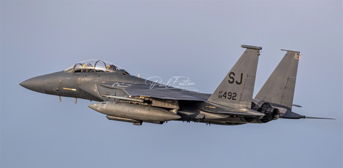 "336th Squadron "The Rocketeers" F-15E SJ's" stock image