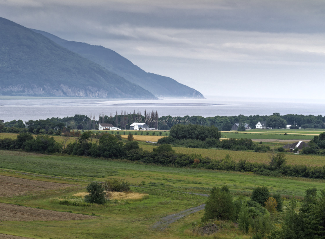 "Summer Landscape" stock image