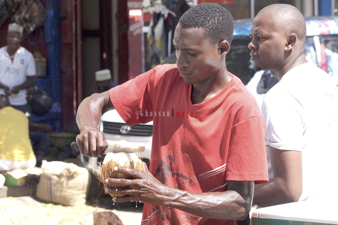 "Bongo Real Hustlers" stock image