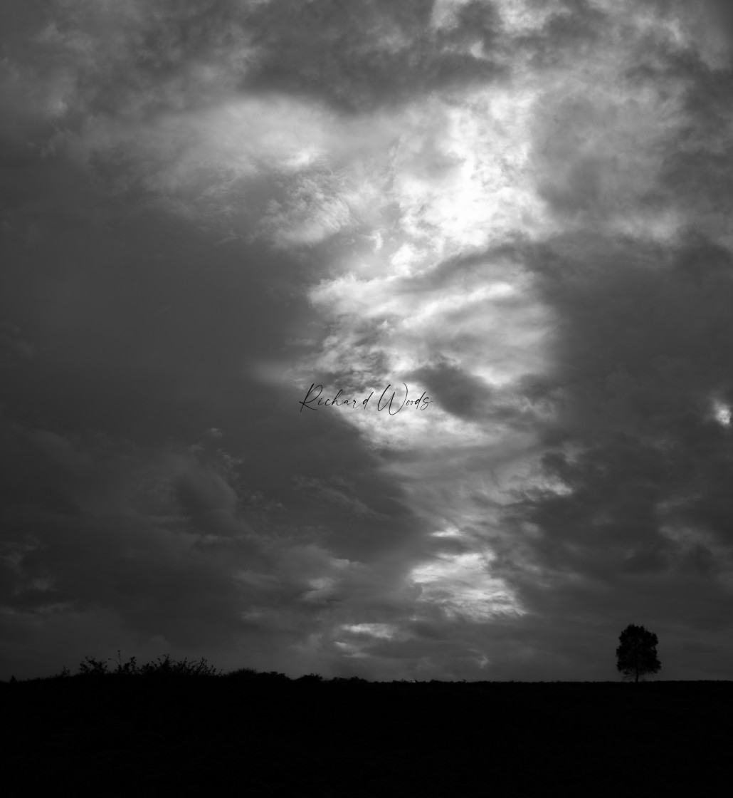 "Cannock Chase, West Midlands" stock image