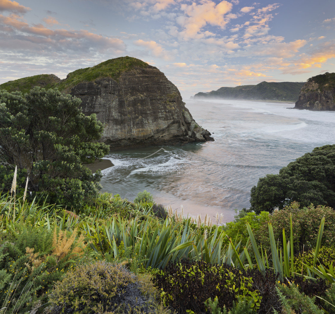 "Taitomo Island, Lion Rock, Piha, Auckland, Nordinsel, Neuseeland" stock image