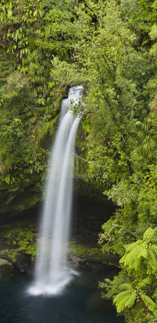 "Omanawa Falls, Bay of Plenty, Nordinsel, Neuseeland" stock image