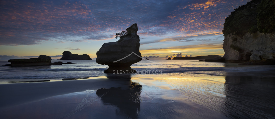 "Mares Leg Cove, Coromadel Peninsula, Waikato, Nordinsel, Neuseeland" stock image