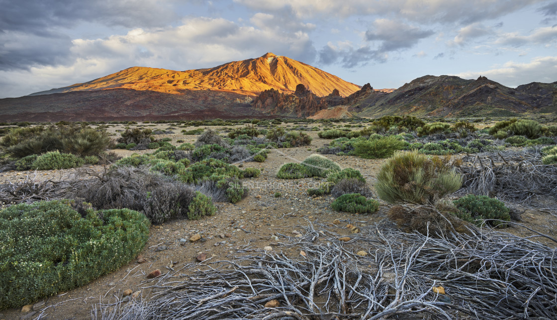 "Teide Vulkan von Llano de Ucanca, Teide Nationalpark, Teneriffa, Kanarische Inseln, Spanien" stock image