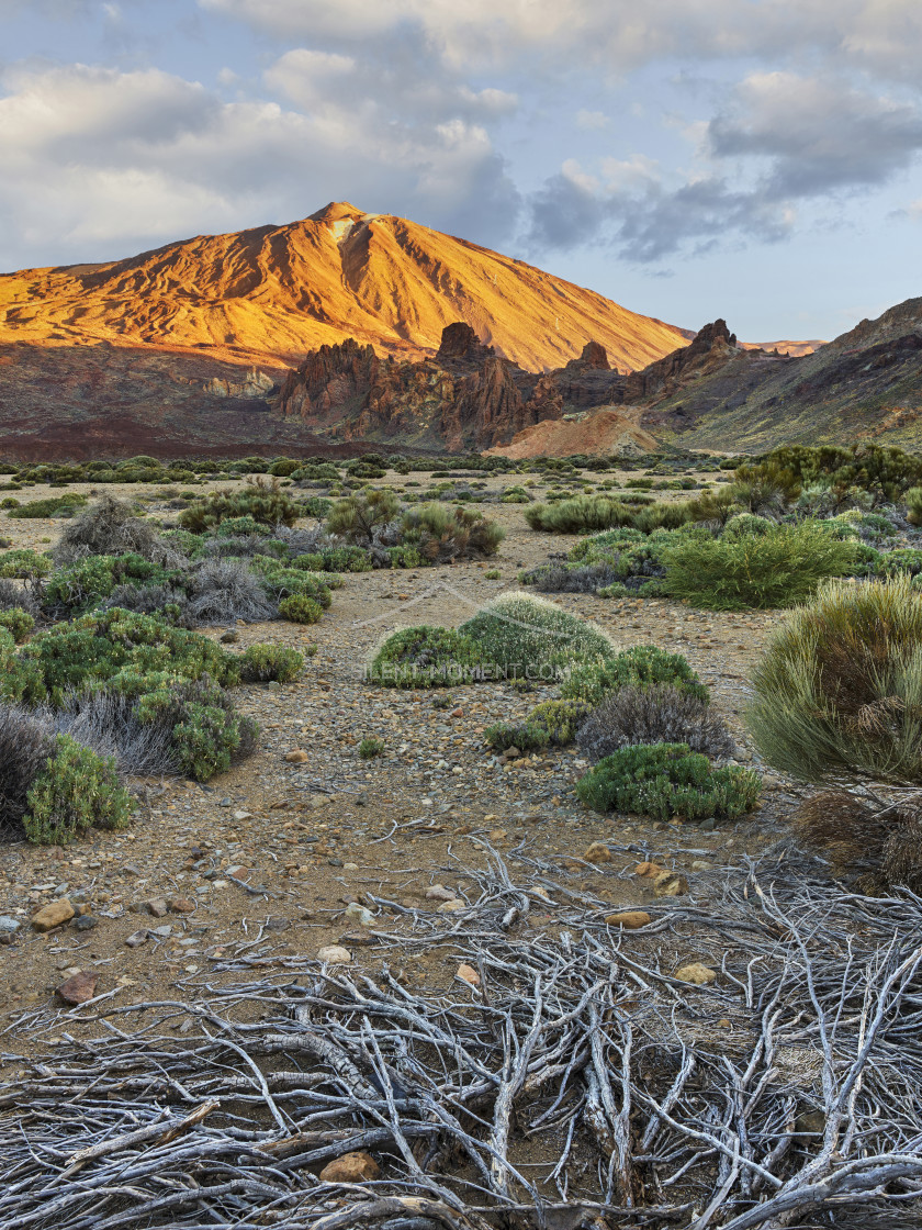 "Teide Vulkan von Llano de Ucanca, Teide Nationalpark, Teneriffa, Kanarische Inseln, Spanien" stock image