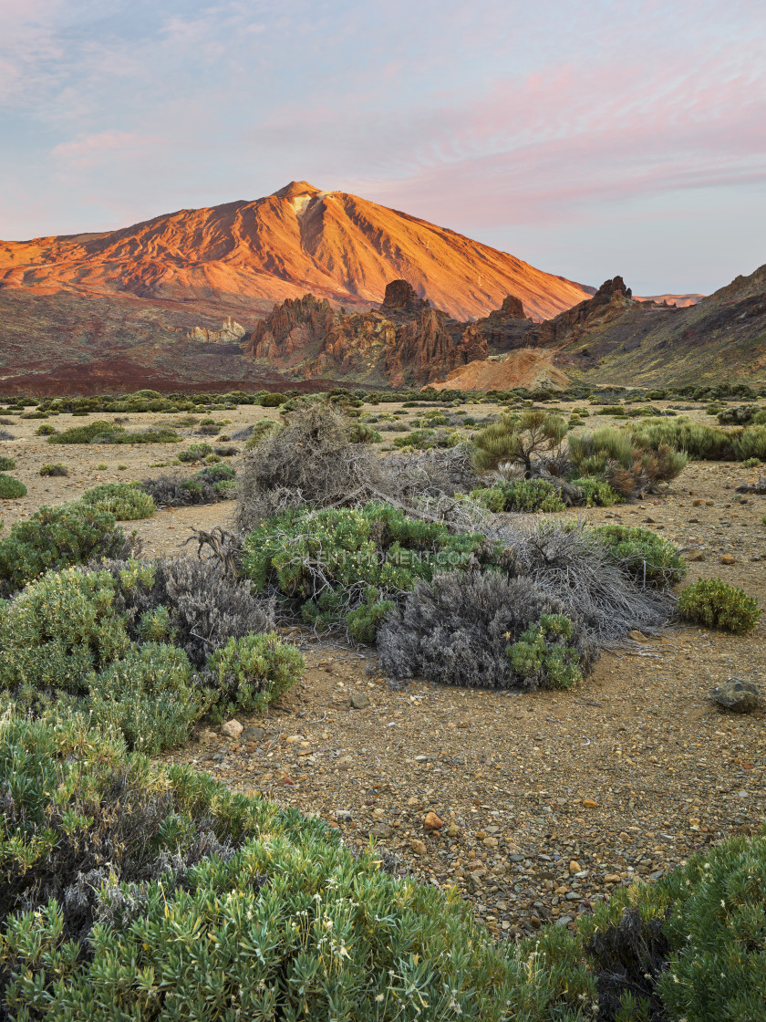 "Teide Vulkan von Llano de Ucanca, Teide Nationalpark, Teneriffa, Kanarische Inseln, Spanien" stock image