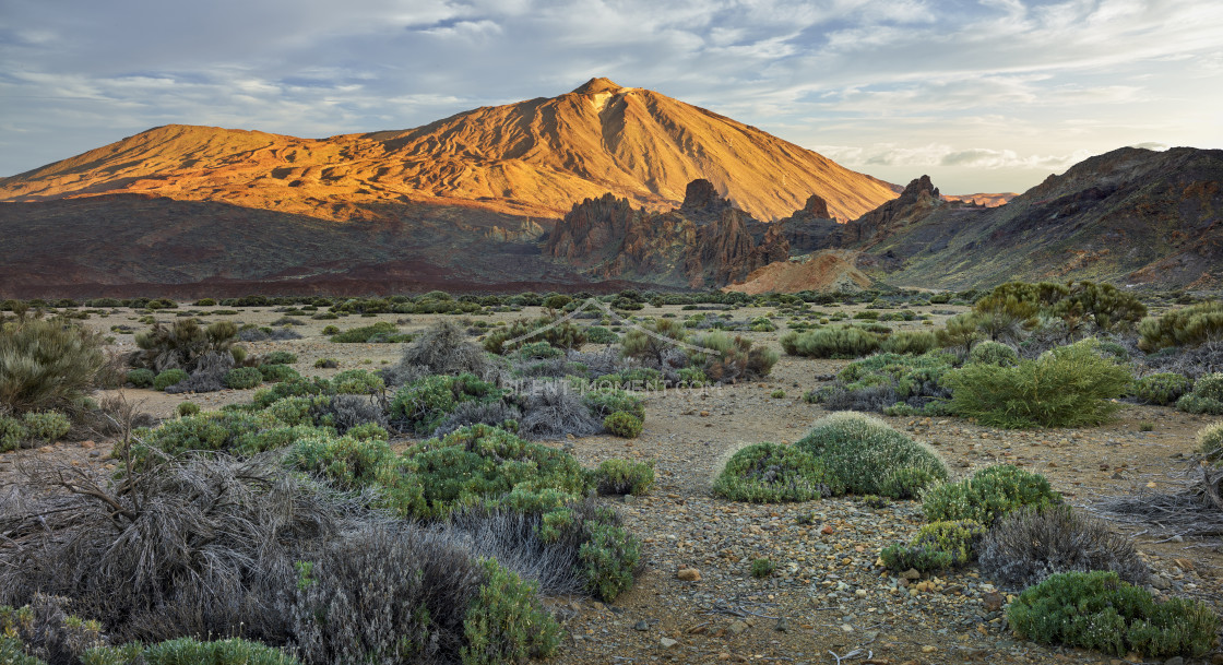 "Teide Vulkan von Llano de Ucanca, Teide Nationalpark, Teneriffa, Kanarische Inseln, Spanien" stock image