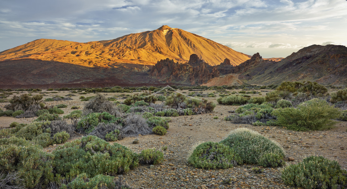 "Teide Vulkan von Llano de Ucanca, Teide Nationalpark, Teneriffa, Kanarische Inseln, Spanien" stock image