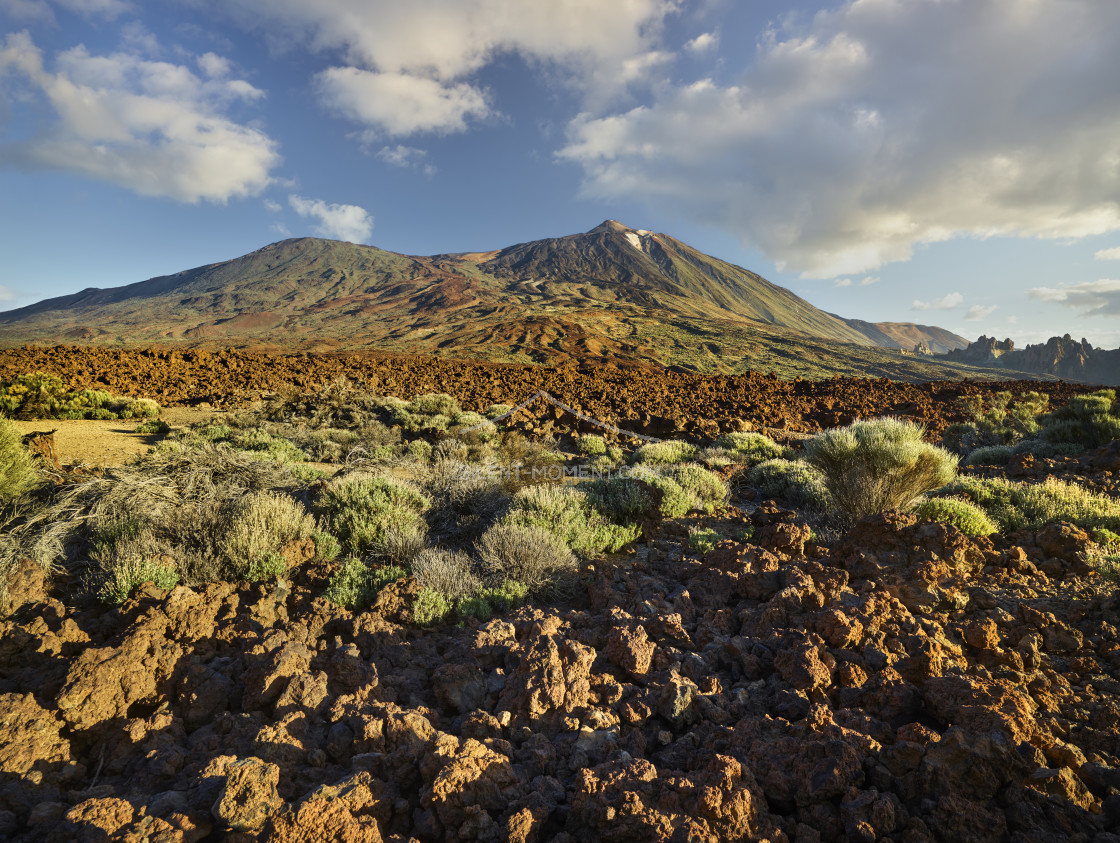 "Teide Vulkan von Llano de Ucanca, Teide Nationalpark, Teneriffa, Kanarische Inseln, Spanien" stock image