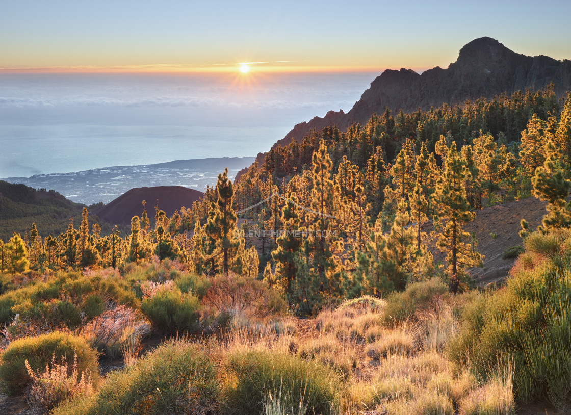 "Sonnenaufgang am Mirador de La Crucita, Teneriffa, Kanarische Inseln, Spanien" stock image