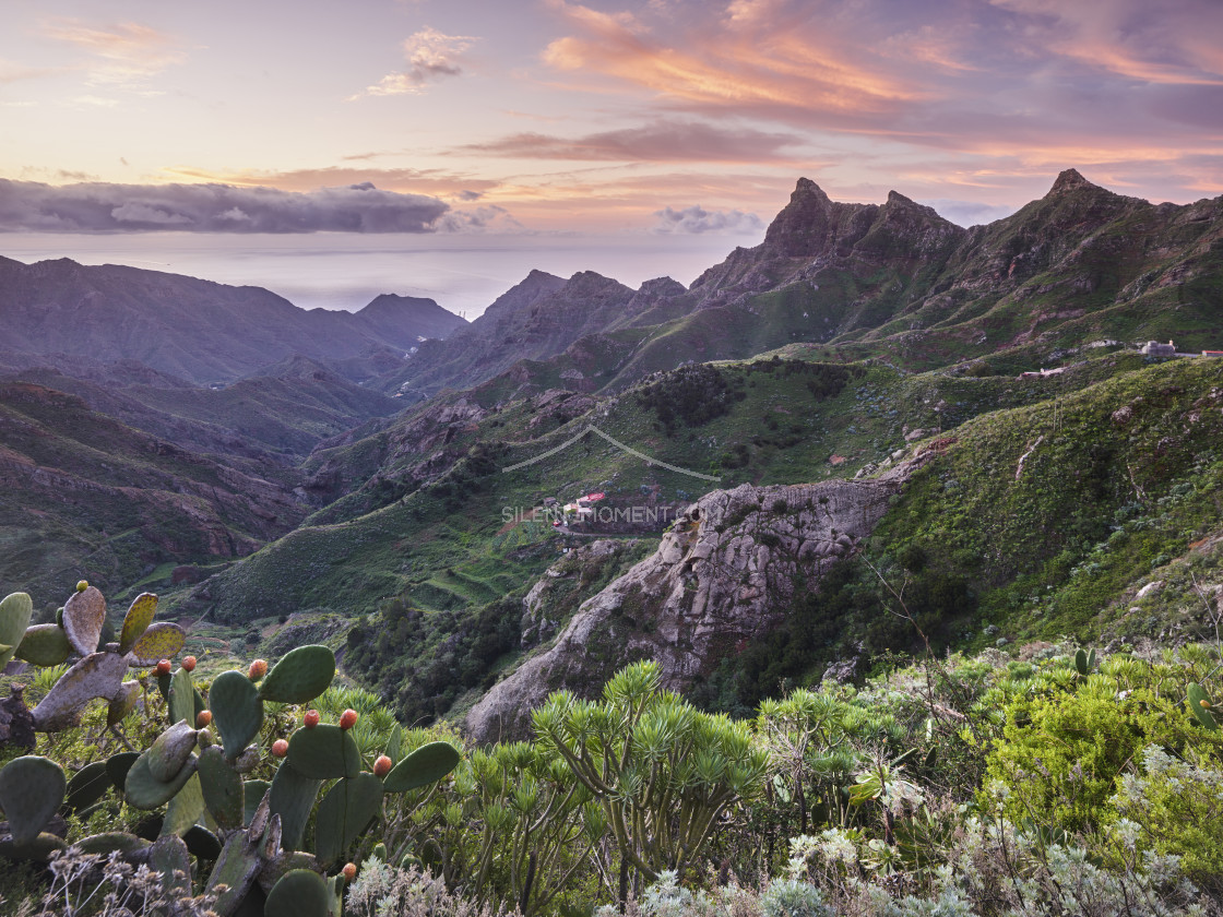 "Blick in das Anaga Gebirge, Rural Park, Teneriffa, Kanarische Inseln, Spanien" stock image