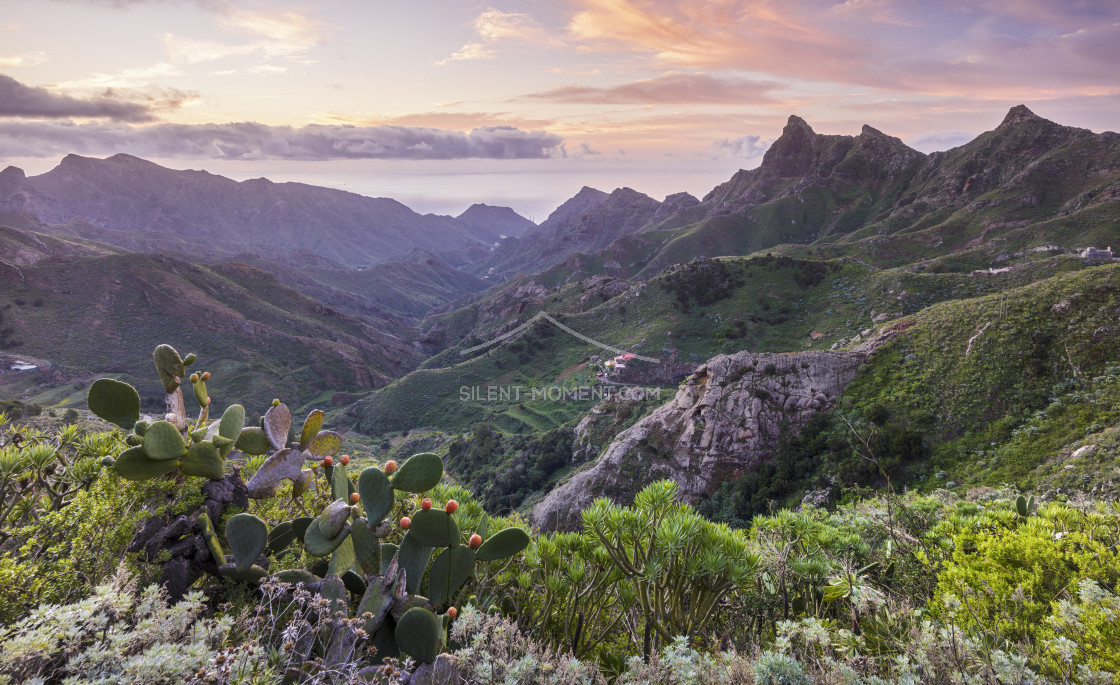 "Blick in das Anaga Gebirge, Rural Park, Teneriffa, Kanarische Inseln, Spanien" stock image