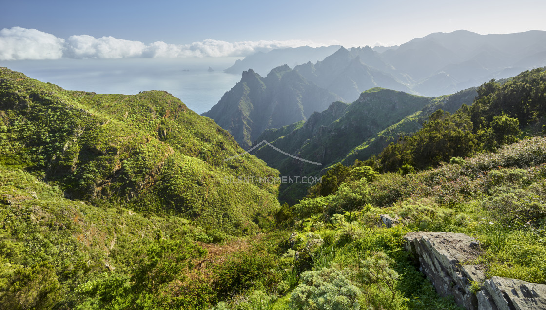 "Blick von Taborno nach Barranco de Afur, Anaga Gebirge, Rural Park, Teneriffa, Kanarische Inseln, Spanien" stock image