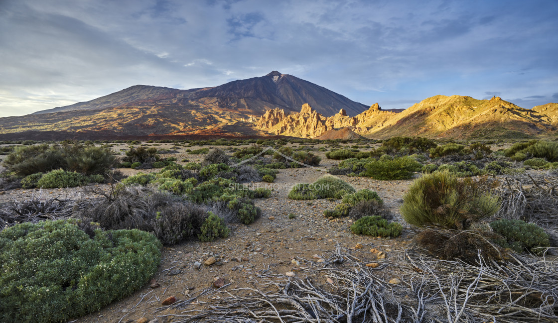 "Teide Vulkan von Llano de Ucanca, Teide Nationalpark, Teneriffa, Kanarische Inseln, Spanien" stock image