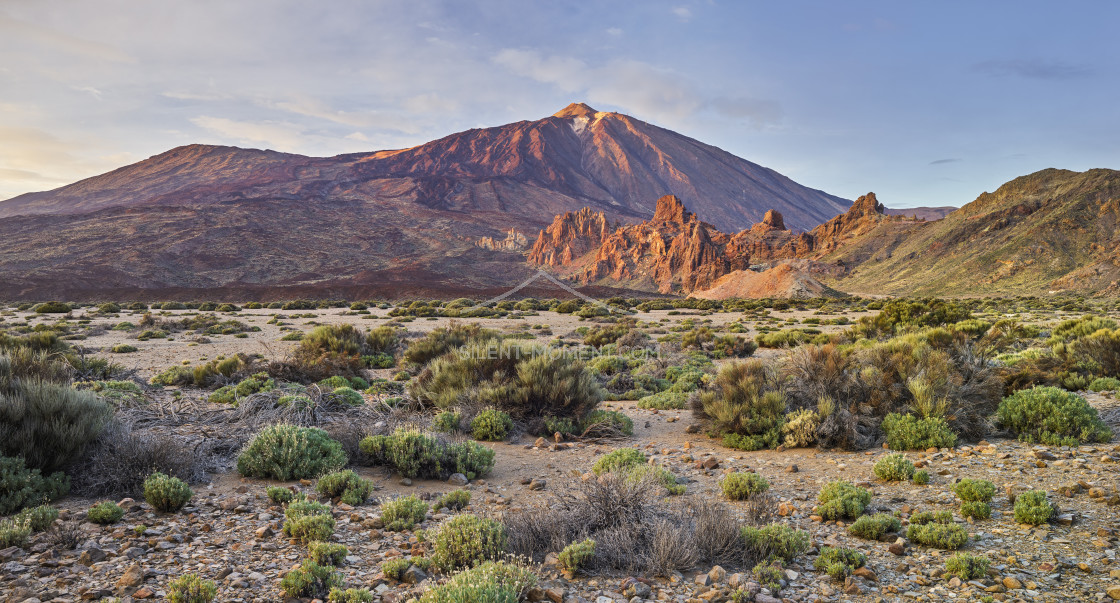 "Teide Vulkan von Llano de Ucanca, Teide Nationalpark, Teneriffa, Kanarische Inseln, Spanien" stock image