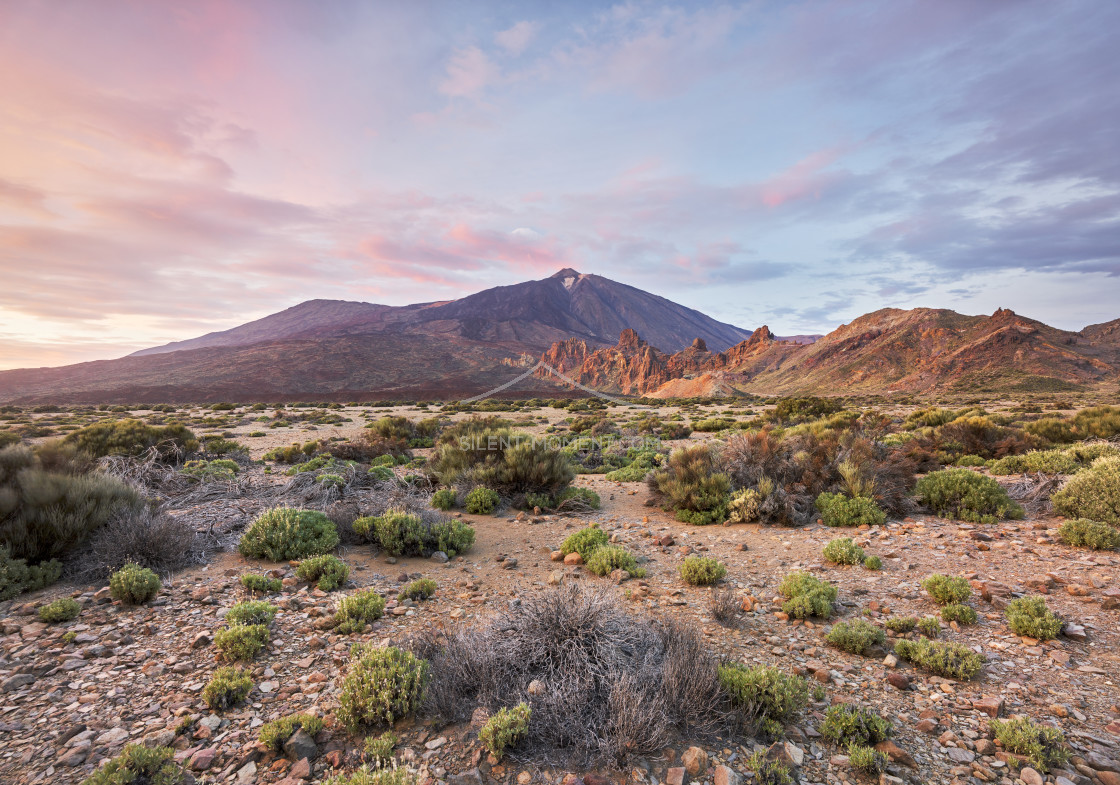 "Teide Vulkan von Llano de Ucanca, Teide Nationalpark, Teneriffa, Kanarische Inseln, Spanien" stock image