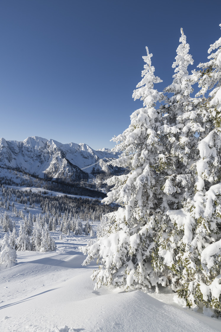 "Schladminger Tauern, Steiermark, Österreich" stock image