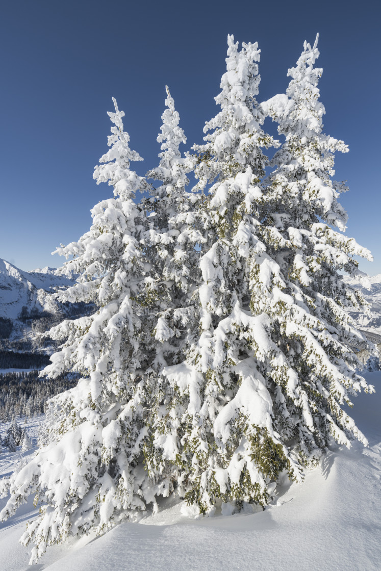 "Schladminger Tauern, Steiermark, Österreich" stock image