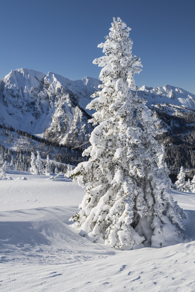 "Schladminger Tauern, Steiermark, Österreich" stock image