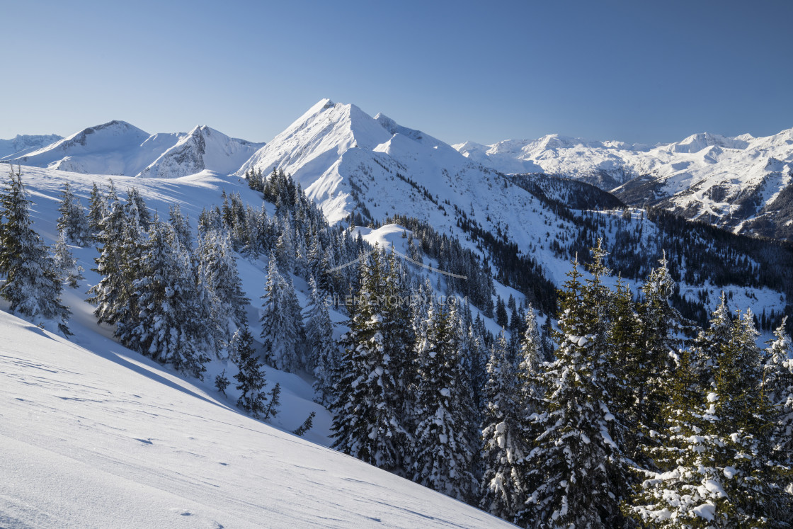 "Gasteiner Tal, Hohe Tauern, Salzburg, Österreich" stock image