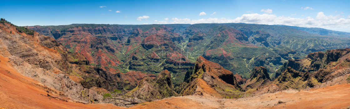 "Panorama of Waimea Canyon on Kauai" by Steve Heap - $8.21 "Panorama of Waimea Canyon on Kauai" stock image