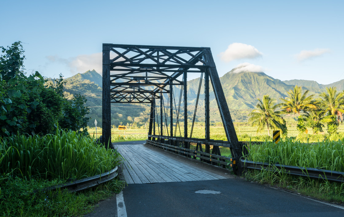 "Old metal girder bridge on road to Hanalei Kauai" by Steve Heap - $8.21 "Old metal girder bridge on road to Hanalei Kauai" stock image