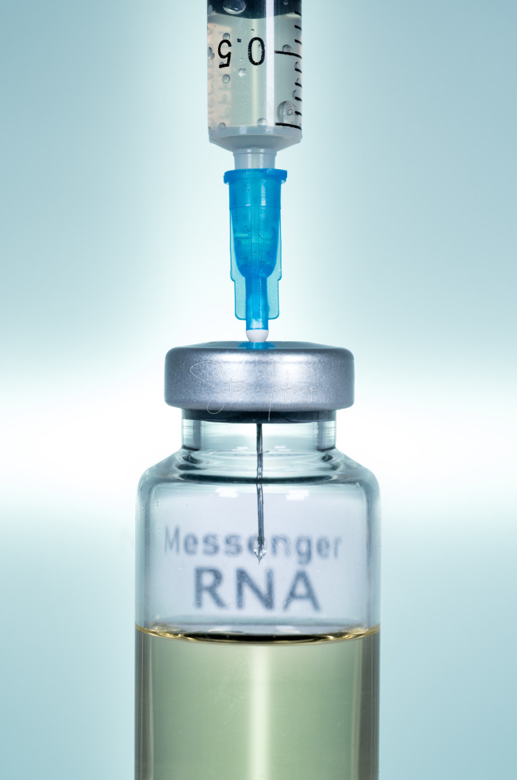 "Hypodermic syringe needle inserted into a Messenger RNA vaccine" stock image