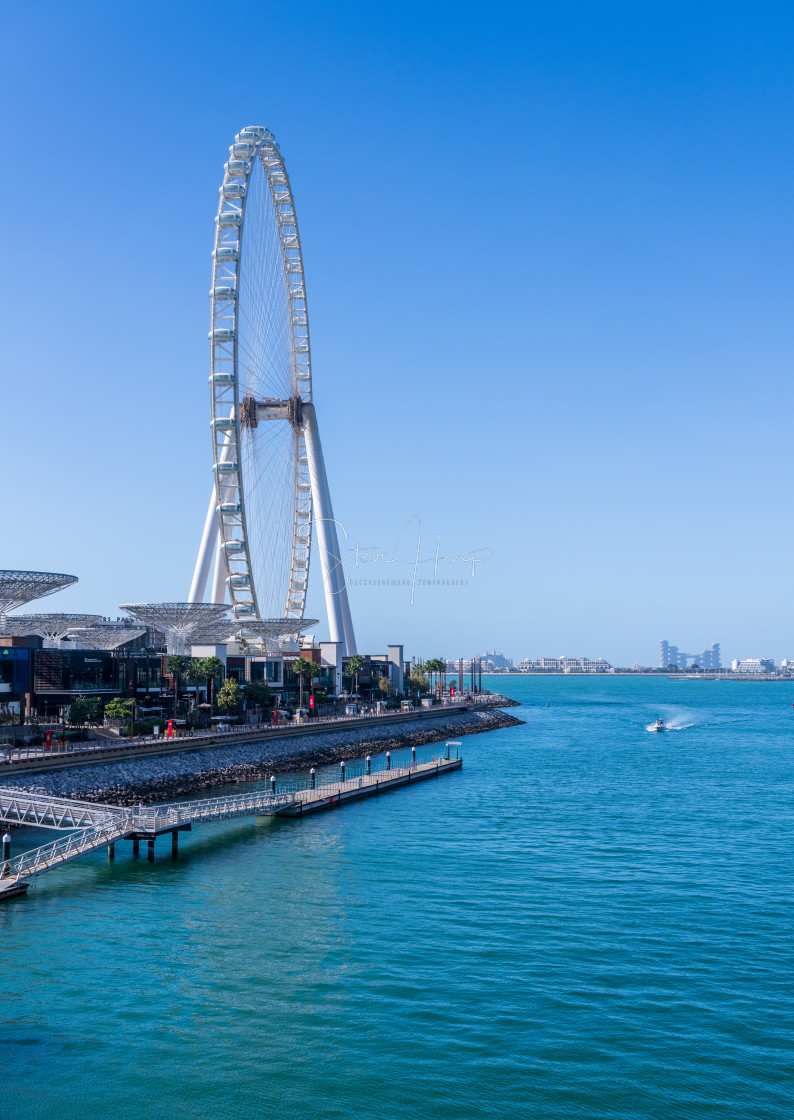 "Ain Dubai observation wheel on Bluewaters Island in Jumeirah" stock image