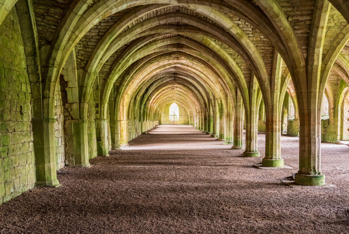 "Cellarium at Fountains Abbey ruins in Yorkshire, England" stock image